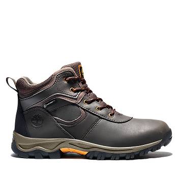 Timberland Mt. Maddsen - Tmavo Hnede Cizmy Detske, TB0612F